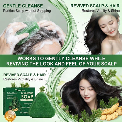 Korean Scalp Revival Bar,Strengthening Botanical Formula, Deep Hydrating Scalp,Strengthening & Thinning Hair, Gentle Hydrating Solid Shampoo (1, 4.23OZ)