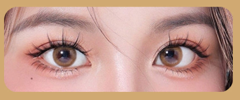 Magnetique™ Lashes - Natural, No-Glue